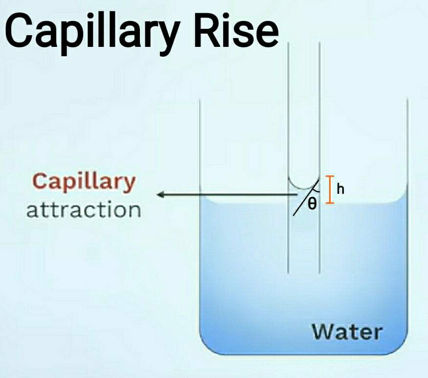 Capillary Rise